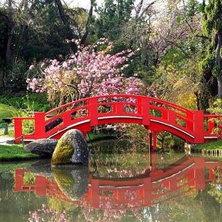 Décor pour votre tournage : le jardin japonais, petit pont rouge