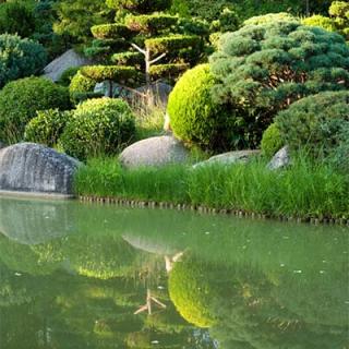 Décor pour votre tournage : le jardin japonais et son lac
