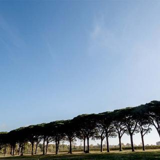 Décor pour votre tournage : le Domaine de Preissac, grande allée bordée d'arbres